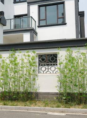 竹子细水竹子FIR毛竹室景内造新中式景观绿装值客厅酒店假饰竹子