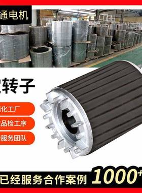 现货电机配件380211014V定转子12极610M1160M260LK18.5KW11W马达