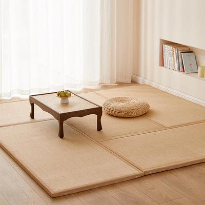 电热榻榻米垫加床定垫做炕垫日式GSP地垫椰棕塌塌米儿子童踏米垫