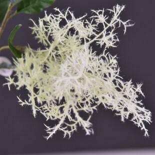 厂家直销仿真黄栌网红植物雾中情人仿真烟树雾花婚庆家居装饰假花