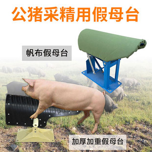 加重猪用假母台公猪采精设备人工授精采精架母猪台加厚帆布假猪台