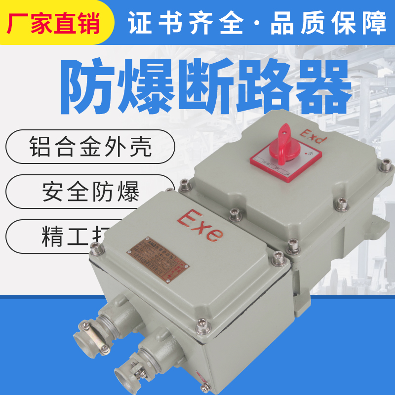 防爆断路器BDZ52-2P3P防爆漏电空气开关32/310A63A100A 三相四线