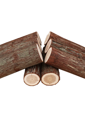 实木带皮圆木片壁炉装饰木柴树桩木材原木装饰木头杉木桩摆件道具