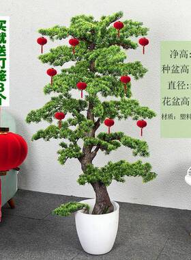 福仿植物盆栽真迎客松客厅23123玄关摆件大型植绿室内装饰假树花