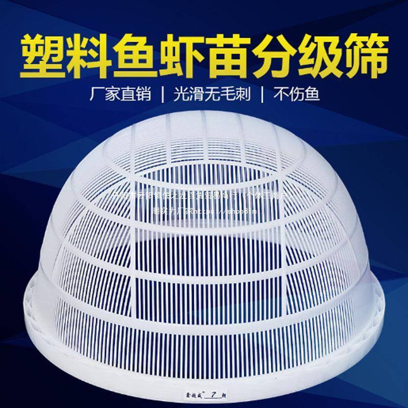 虾塑料鱼筛子大鱼小苗分朝筛寸纱类鱼泥鳅龙虾对苗分级65577560筛