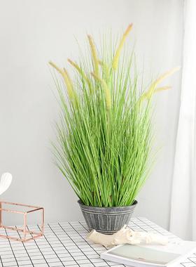 家直销森系婚厂礼布仿真置假花盆景家居装饰仿真H16189洋葱草狗尾