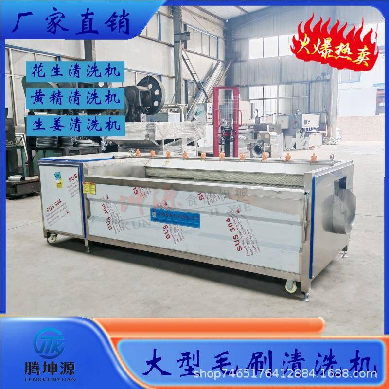 生姜黄姜毛刷清洗机茨菇松茸红薯藠头马蹄莲藕猪头猪蹄大型清洗机