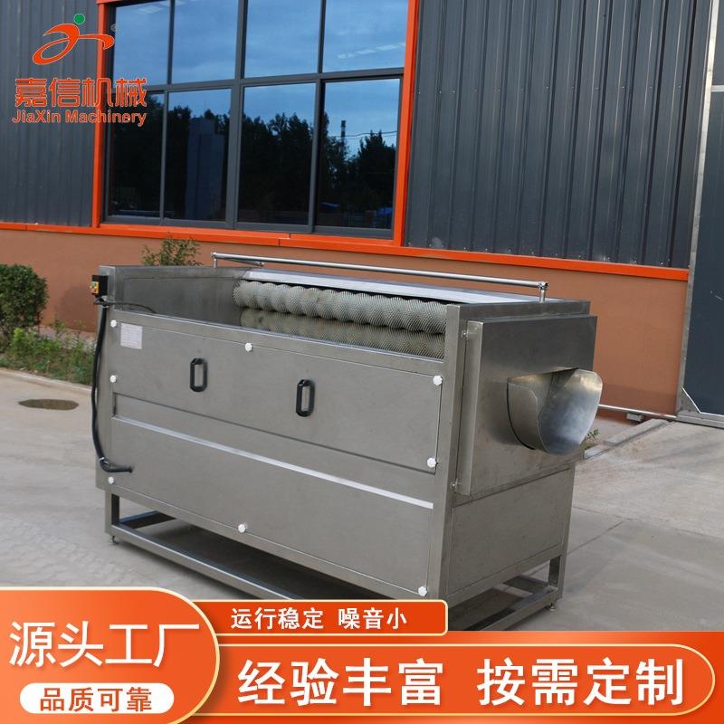 大型果蔬清洗去皮机红薯萝卜清洗去皮机毛刷毛辊土豆地瓜去皮机