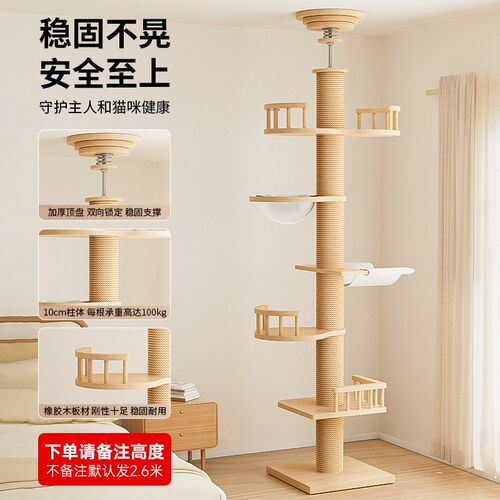 定制款通天柱猫爬架实木猫窝一z体太空仓猫跳台猫架子不占地小户