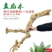 爬宠造景木蛇睫角豹纹守宫箱鬃狮蜥蜴攀爬双冠晒台龙纹枯木树枝根