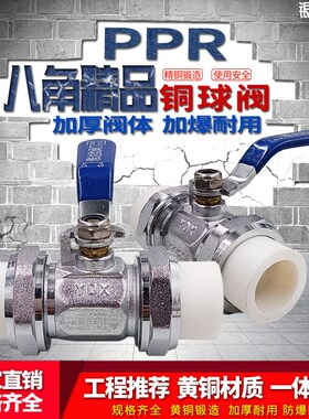 热熔4分20开关八角双活接全铜阀门球阀ppr水管管件配件开关接头