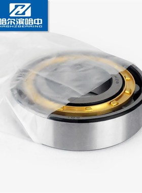 N NU NJ NUP 256 EM 圆柱滚子轴承单列二类铜保哈尔滨哈中HZB