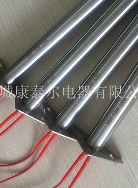 热带挡片内出线单32744头加管加耐800℃纯镍热线不锈钢热棒
