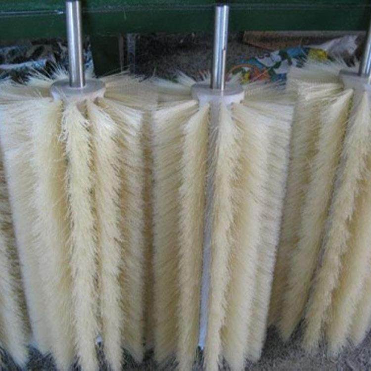 清毛QLX辊清洗毛刷清洗打洗磨刷除尘清扫毛刷辊水果清洗毛刷刷毛