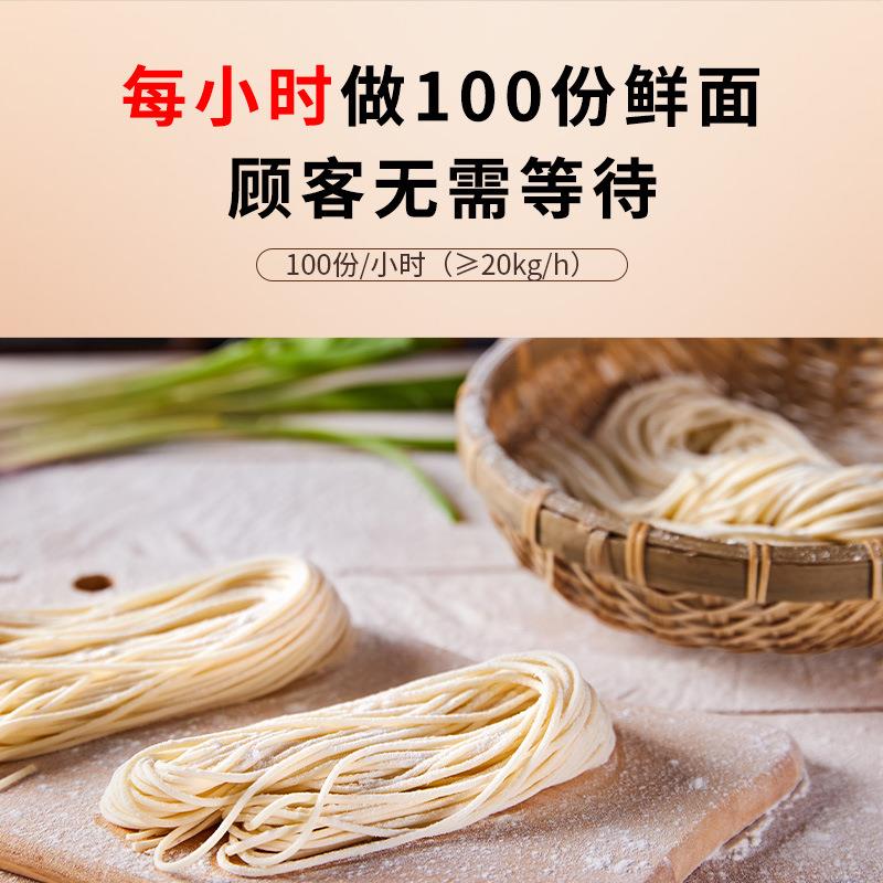 商用小型面条机全自动面和拌面YNY条面面条机不锈钢面机多功能条