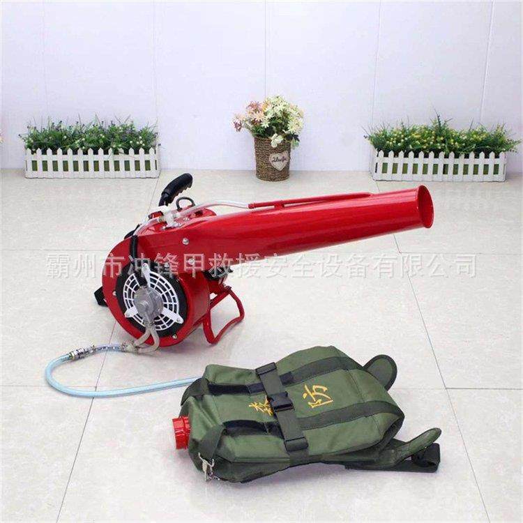 背负庭院除雪式机6MF-3地2型风力风水灭机火机85道路吹风工除尘器,五金/工具,其它工具,淘宝优惠券,粉丝福利购,淘宝优惠卷