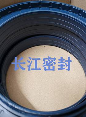 IBNREDOMBI80-125-10/19MS1SLK组R85-80-113-9德国CFW合油封