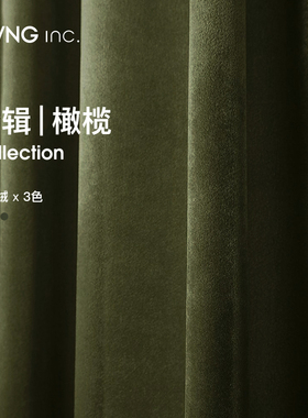 辑/35 橄榄绿墨绿色丝绒窗帘轻奢复古2021年新款客厅Y卧室遮光绒