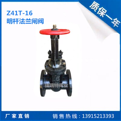 Z41T-10/16铸铁大体铜芯法兰明杆闸阀DN65 80 150 250 350 450