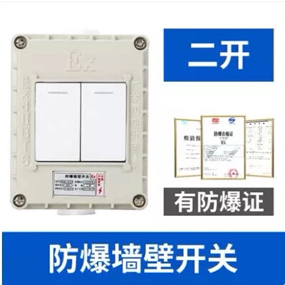 防爆墙壁开关86型一开二开三开四开明装暗装防爆照明开关220V10A