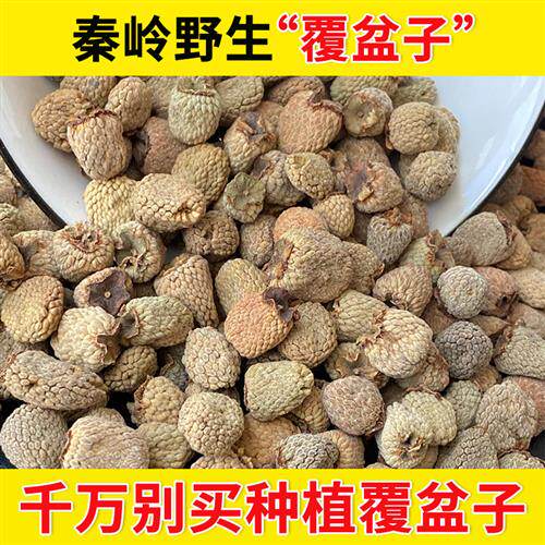 覆盆子正品野生新鲜掌叶覆盆子搭菟丝子沙苑子山茱萸覆盆子泡水