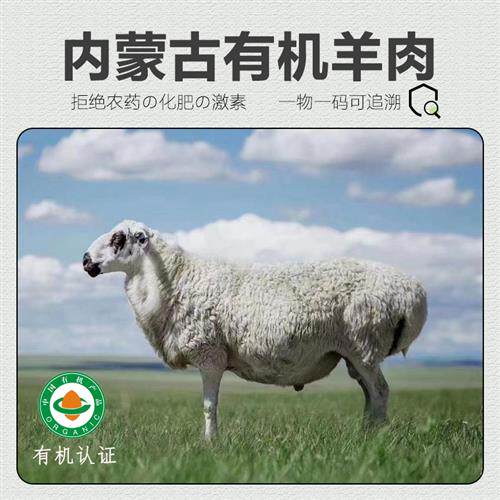 有机羊肉新鲜内蒙古天然羊腿羊排羊蝎子羊肉卷羊肉串食材牧北鲜