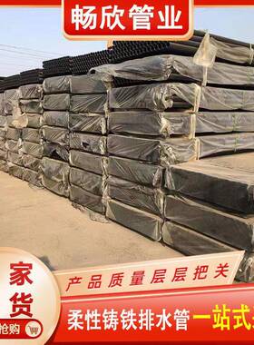 W机制02247柔铸铁排水管铸铁管型排性水管件d0n10铸铁排水管厂家