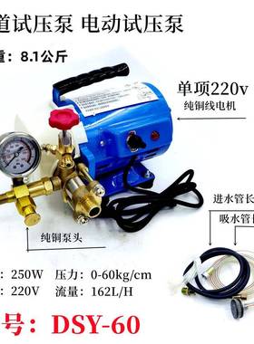 东雷手动动电试压打压机压力泵地暖检漏仪压试压泵家用RWR增测压