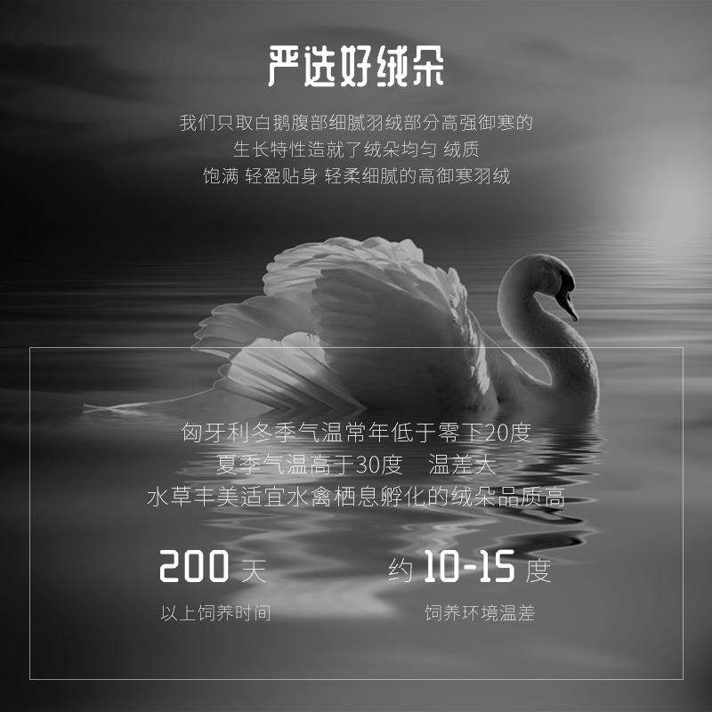 新款绒自充羽59被5鹅绒被白鹅绒Ａ级鹅绒VCK冬季加厚被保暖家用