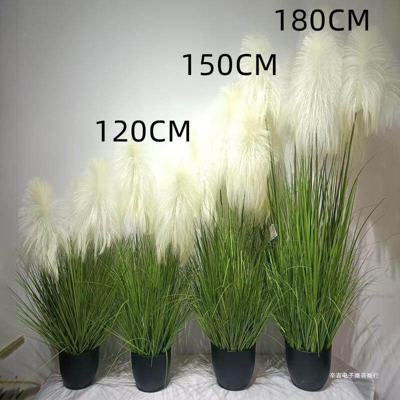 2250仿真狗尾巴草花绿芦花苇草假草植毛毛虫猫尾草假箱MKL装饰造