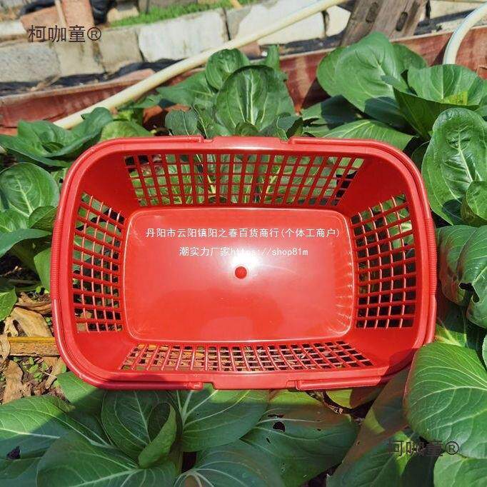 草莓篮杨梅篮麦樱篮鸡篮塑柯咖童料手提方篮子桑葚胶框1蛋-10斤桃