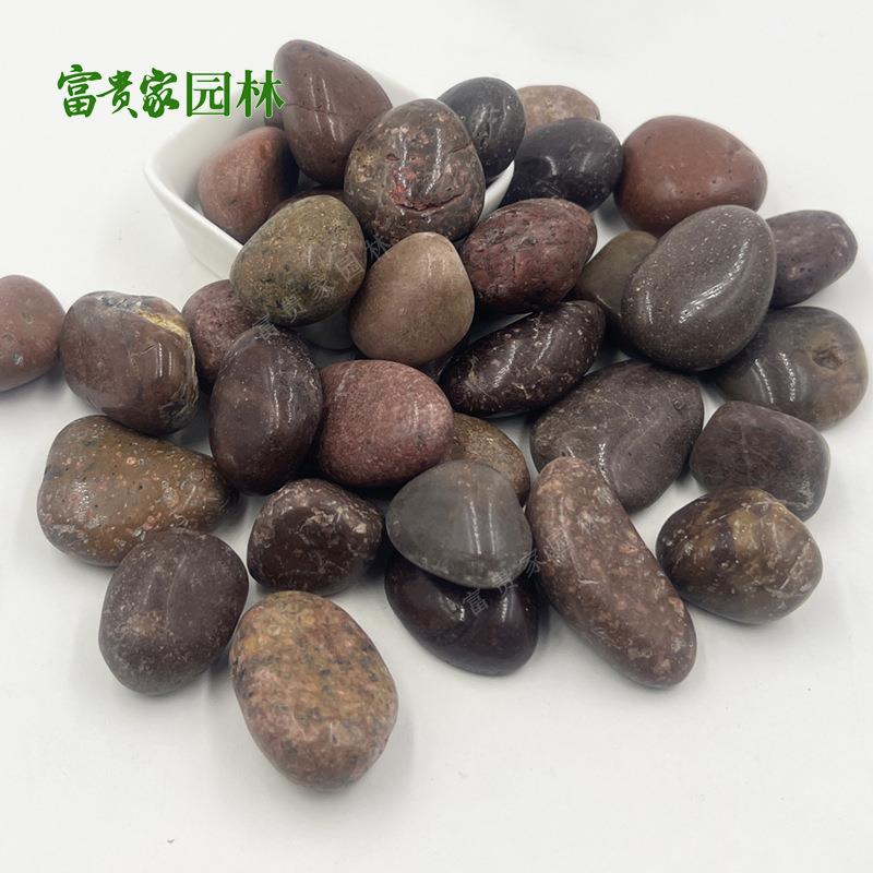 红色鹅路卵石抛光JLB雨石3园花林景观铺水池垫底石头红卵石-5cm