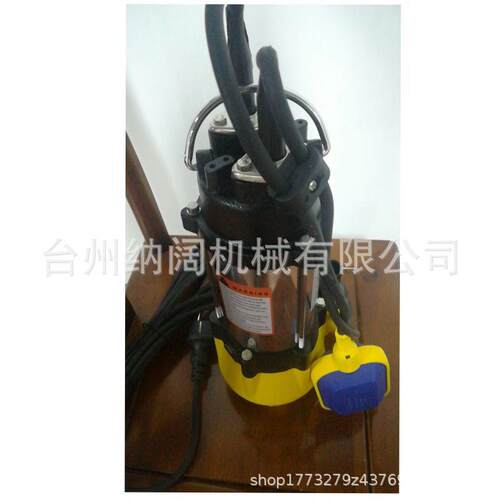 用钢灌溉花园小型排污泵25农0W不锈自动FST启停潜水污水泵2V20欧
