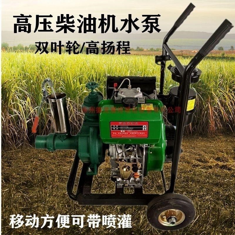 双叶轮高a扬程水泵农用柴油机喷灌滴灌农田灌溉双叶轮压井式离心