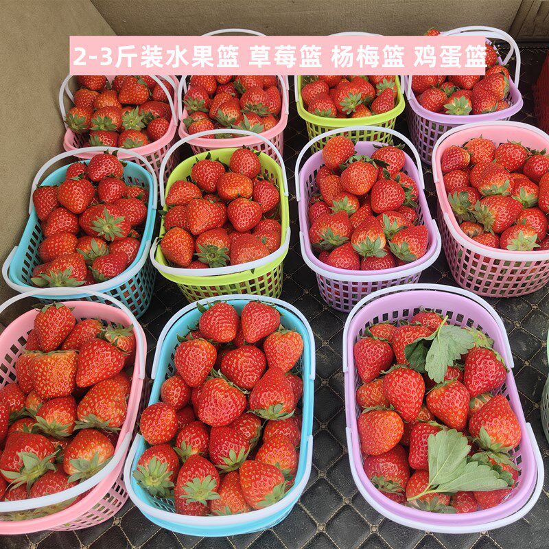 2斤装3斤装水果篮塑料采摘篮子草莓篮筐子手提杨梅篮元宝篮一次性