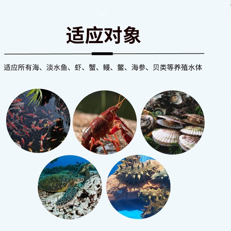 控草丹颗粒水产养殖水草壮根控制疯长虾J蟹塘护草宝生长控草素养