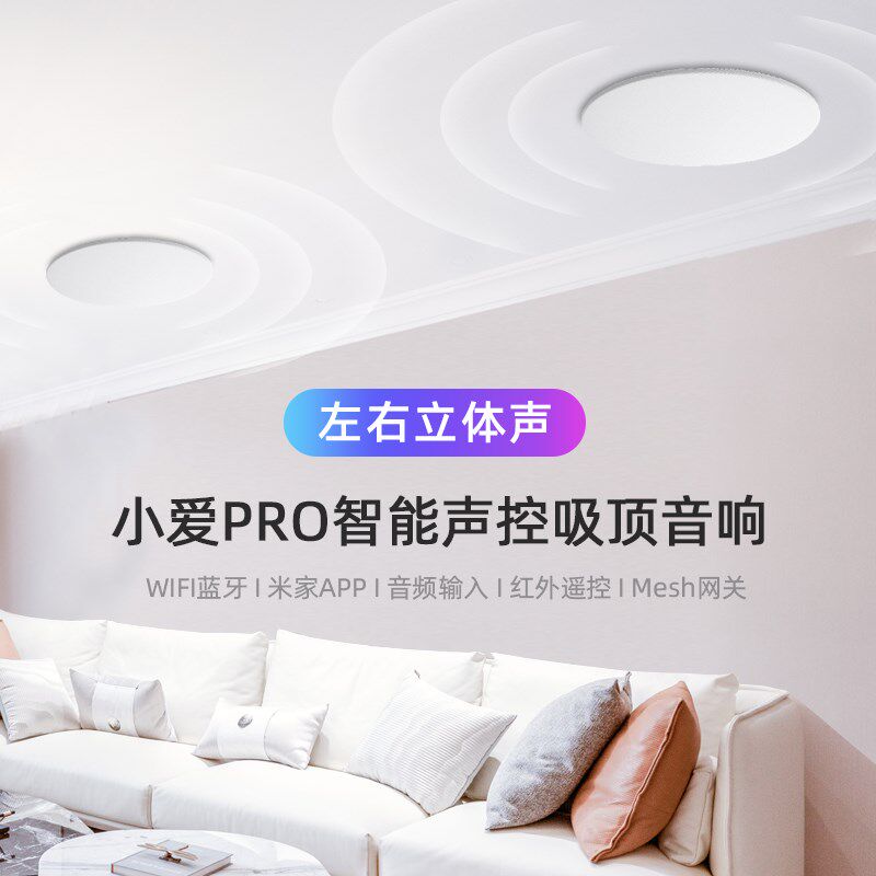 定制重音版小爱PRO智能声控点歌吸顶音响左右声道立体声智能家居