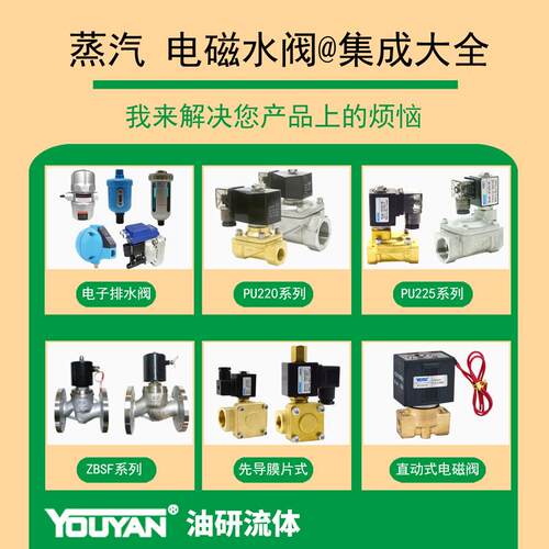 ZCW-1P-DN25电磁阀1/2寸3/4/6分ZCL-1-15高压2P-DN20 32 40 50 10