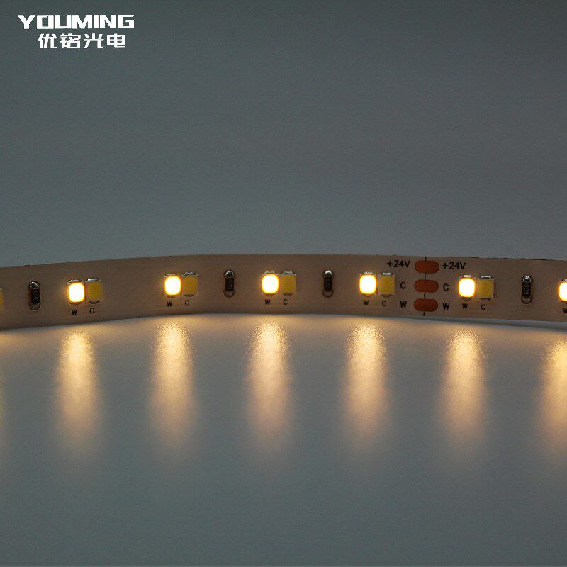 CRI90高显指灯带 2835双色温 192灯/M 12V 2700-6500K 8mm 10W/路