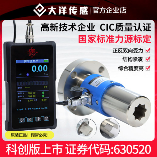 大洋扭矩扳手检定仪扭力测试仪数显液晶扭矩拧紧力测试手持校准仪