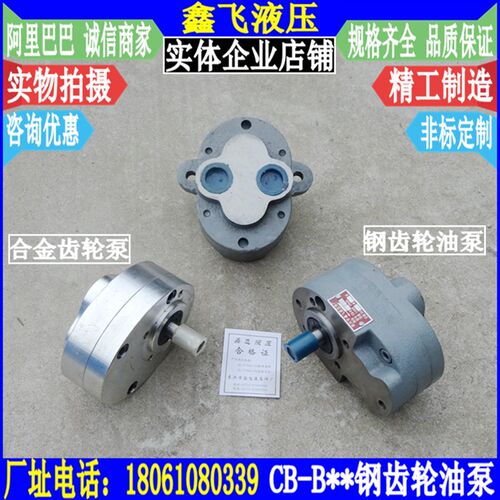 CB-B10/B6/B4/B16/B25/B32/B40/B50/B63/B80/B100/B125钢齿轮油泵