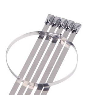 500 300 200mm捆绑金属船用电缆扎带 7.9 添翼304不锈钢扎带900