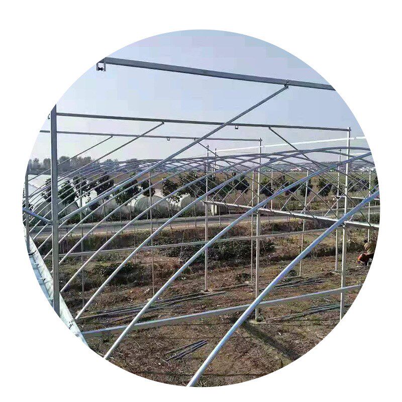 定制内外遮阳连栋温室大棚薄膜温室大棚农业种植大棚X遮阳连栋薄