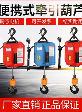 德国进口电动葫芦220v小吊机家用小型升降0.5吨微型便携提升机遥