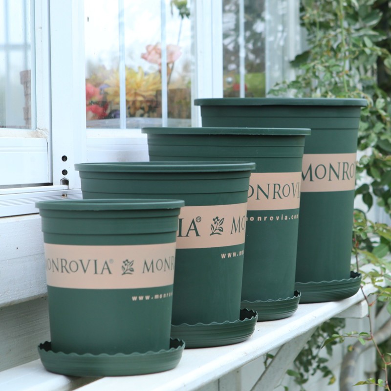 海蒂的花园 环球盆塑料树脂圆形创意种植盆阳台花园盆栽植物花盆