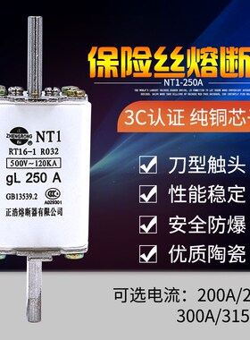 陶瓷熔断器熔芯NT1 NT2  NT3  NT4 200A 300A 400A 630A