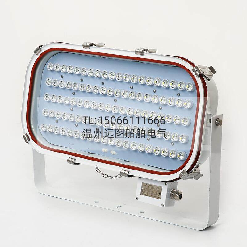 船用矿场LED不锈钢强光大功率投光灯TG20-L探照灯30W50W/100W正品