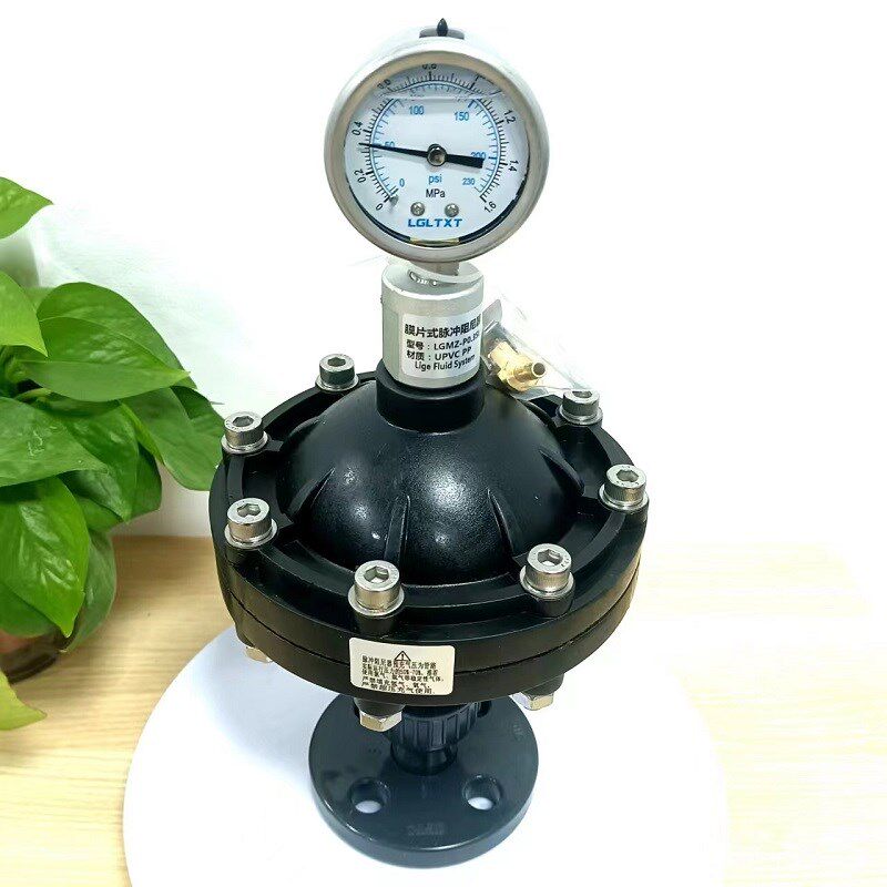 高品质新款上市DN152025膜片式脉冲阻尼器缓冲器缓冲罐气囊带表