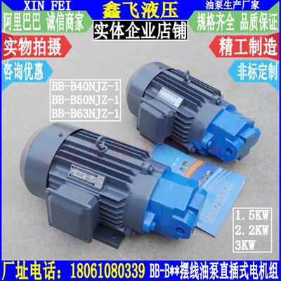 BB-B40NJZ-1摆线齿轮油泵BB-B50NJZ BB-B63NJZ直插式电机组2  3