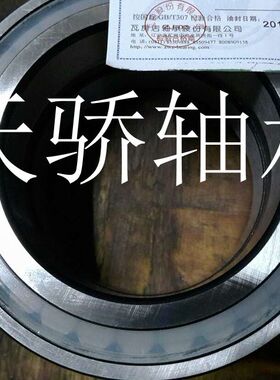 ZWZ 瓦房店轴承 RS-5020 SL045020 NU2314EM